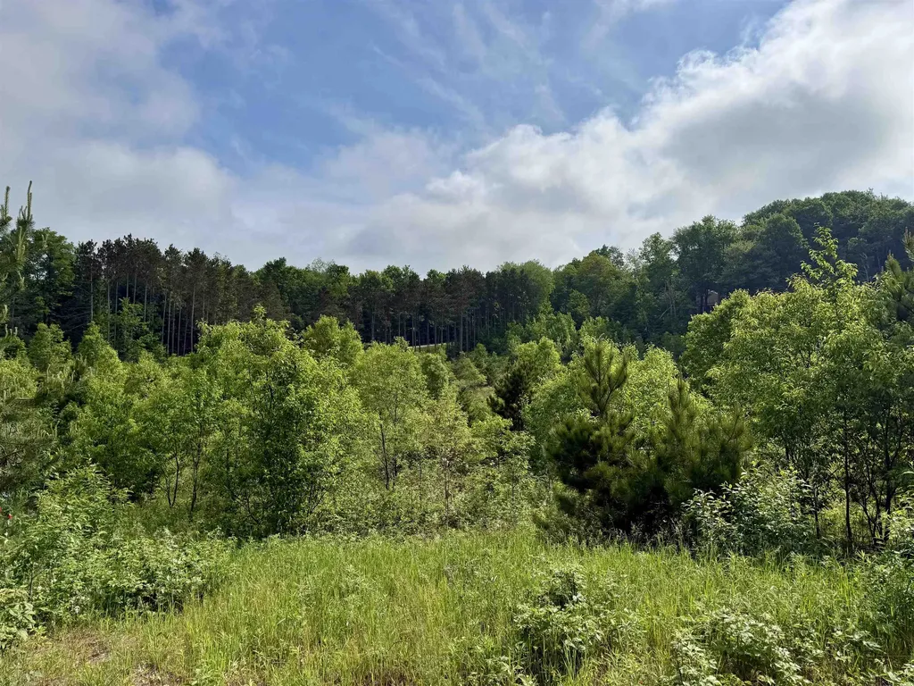 A5 & A9 Kasson Road Kasson Township MI 49664