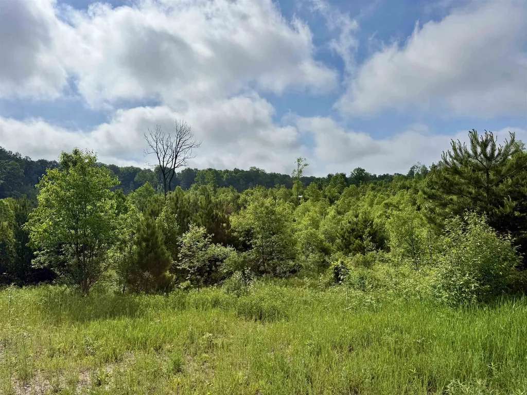 A5 & A9 Kasson Road Kasson Township MI 49664