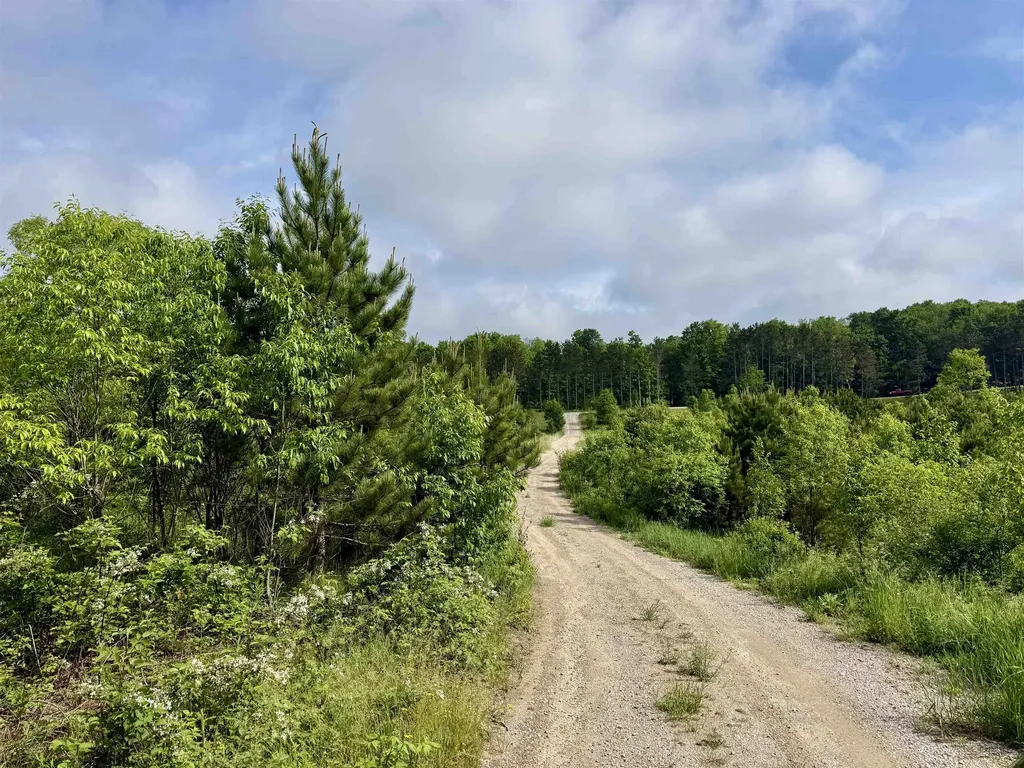 A5 & A9 Kasson Road Kasson Township MI 49664