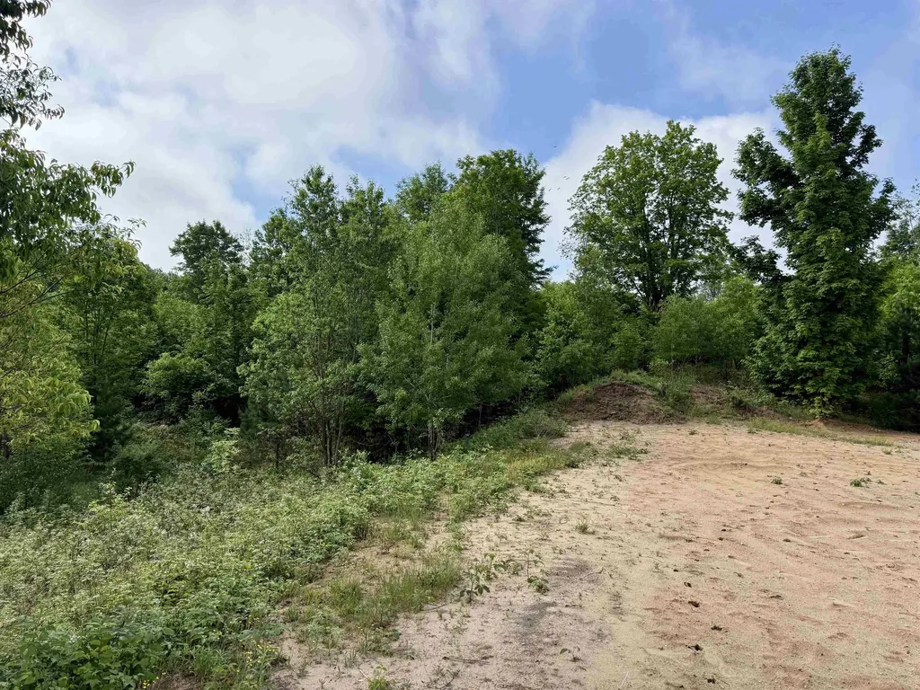 A5 & A9 Kasson Road Kasson Township MI 49664