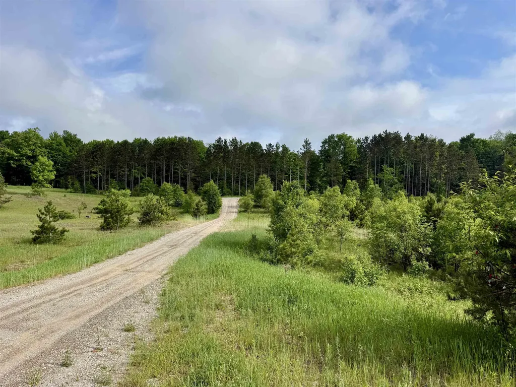 A5 & A9 Kasson Road Kasson Township MI 49664