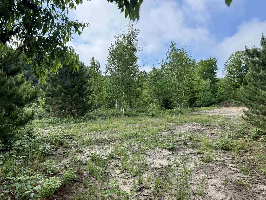 A5 & A9 Kasson Road Kasson Township MI 49664