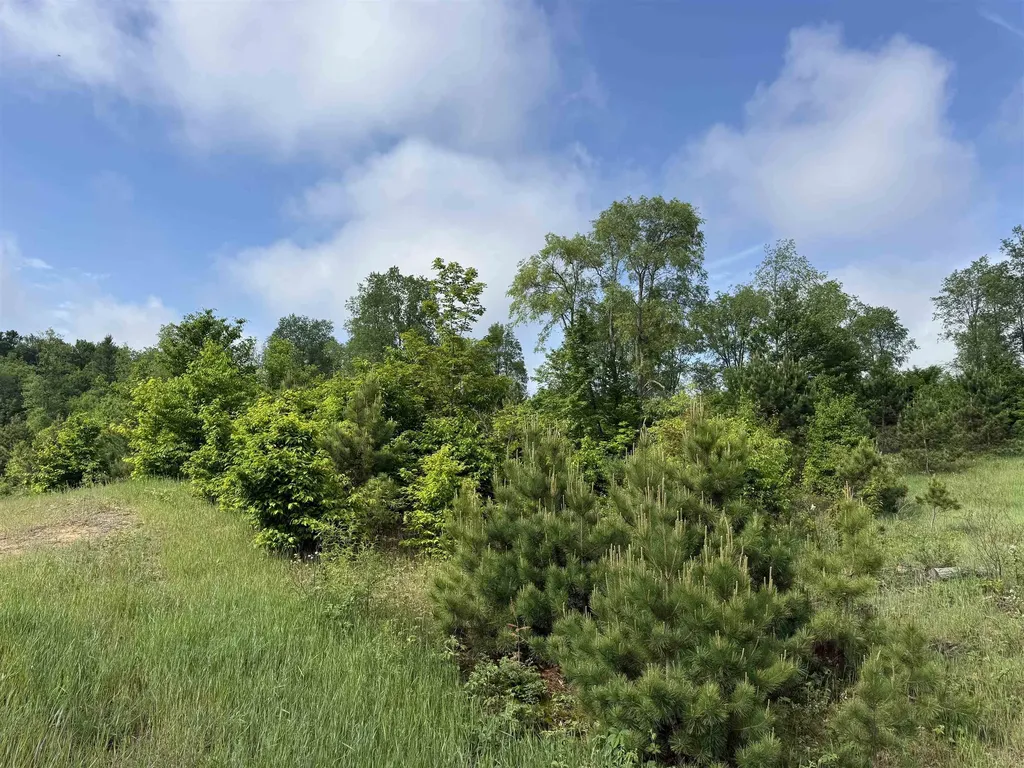 A4 Kasson Road Kasson Township MI 49664