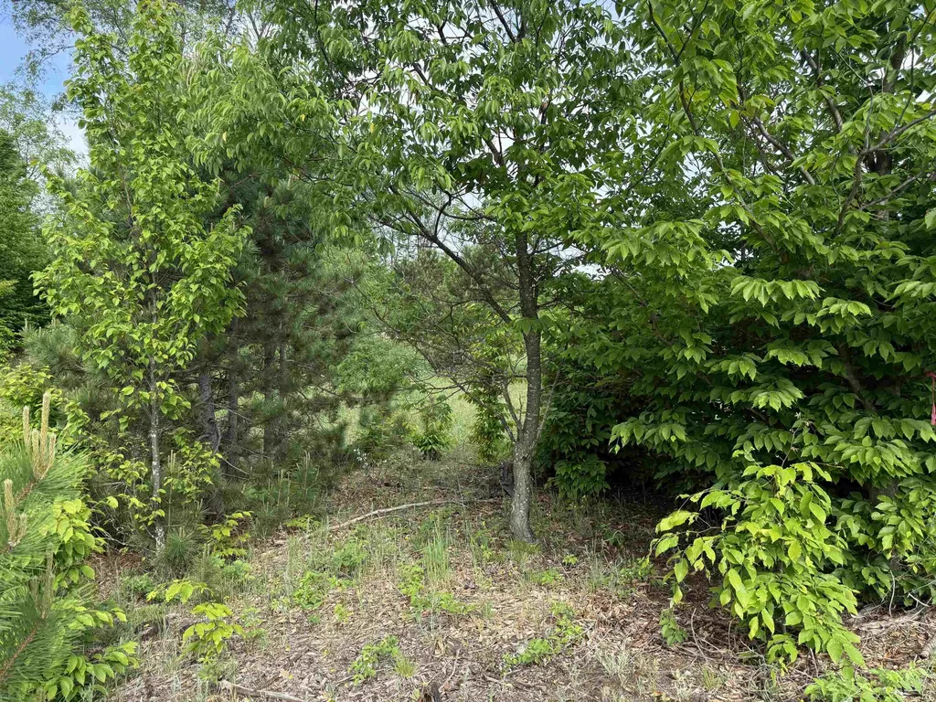 A4 Kasson Road Kasson Township MI 49664