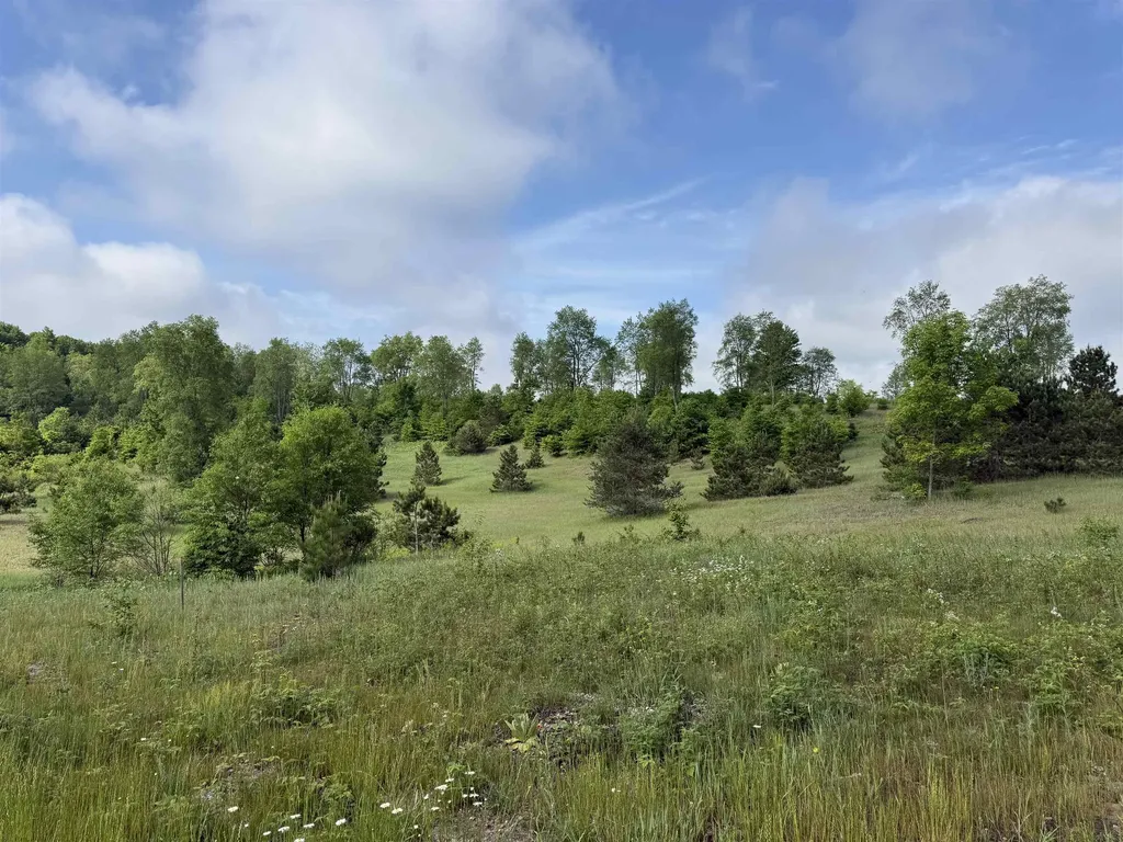 A4 Kasson Road Kasson Township MI 49664