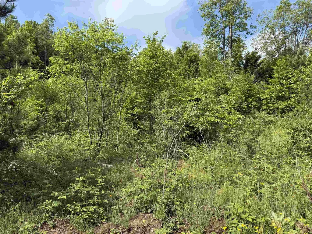 A4 Kasson Road Kasson Township MI 49664