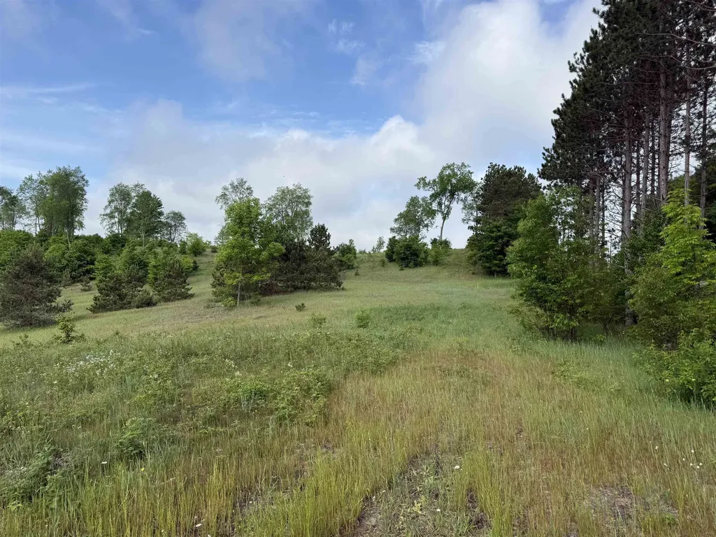 A4 Kasson Road Kasson Township MI 49664