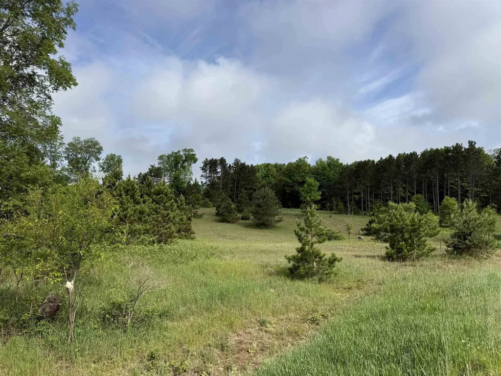 A4 Kasson Road Kasson Township MI 49664