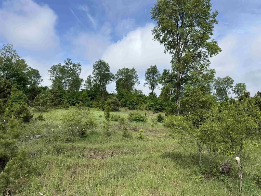 A4 Kasson Road Kasson Township MI 49664