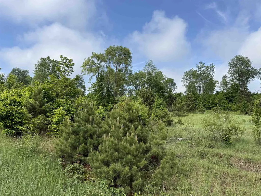 A4 Kasson Road Kasson Township MI 49664
