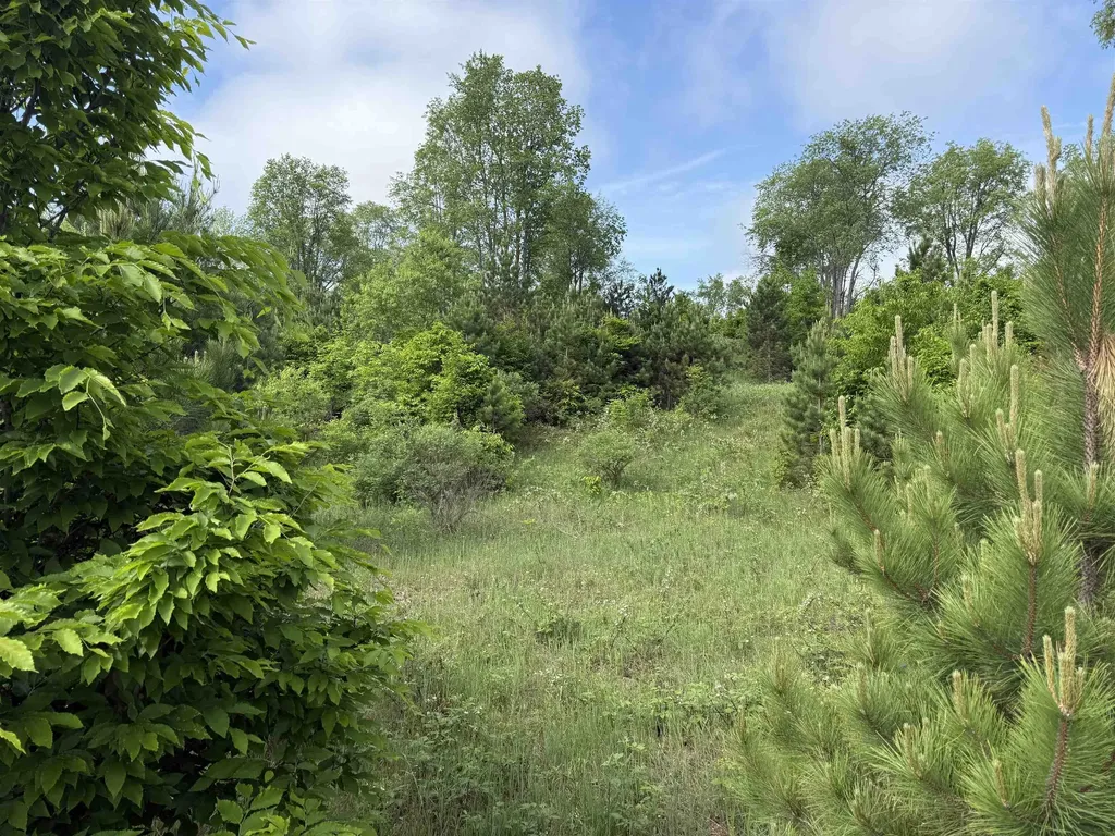 A4 Kasson Road Kasson Township MI 49664