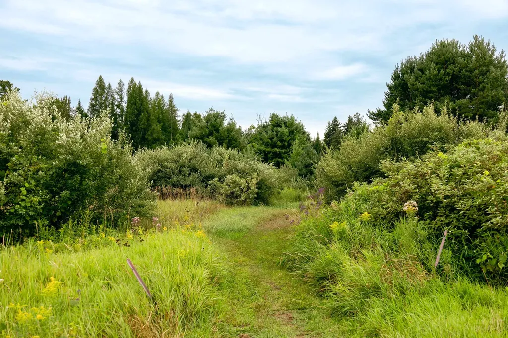 00 E Birch Point Road Elmwood Charter Township MI 49684