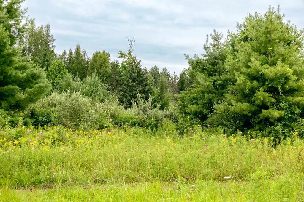 00 E Birch Point Road Elmwood Charter Township MI 49684