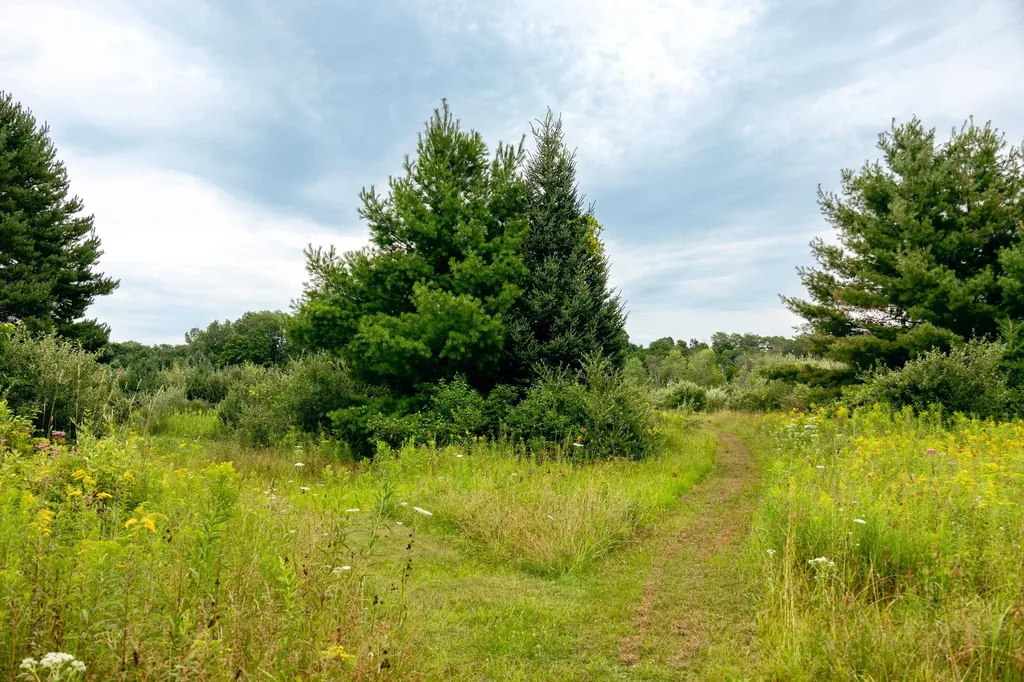 00 E Birch Point Road Elmwood Charter Township MI 49684