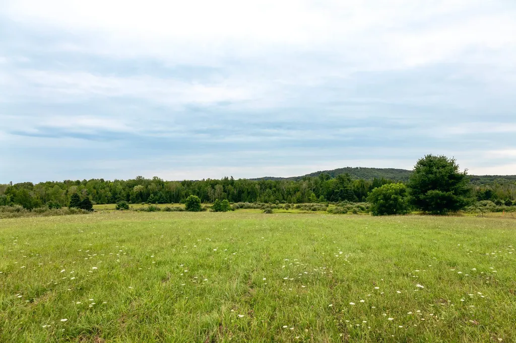00 E Birch Point Road Elmwood Charter Township MI 49684