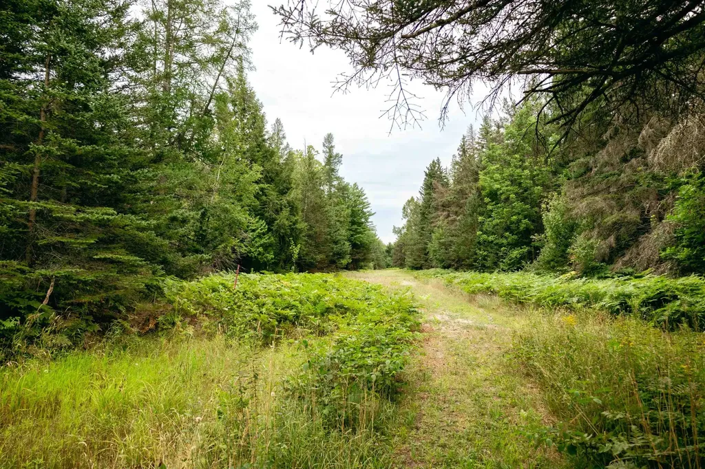 00 E Birch Point Road Elmwood Charter Township MI 49684