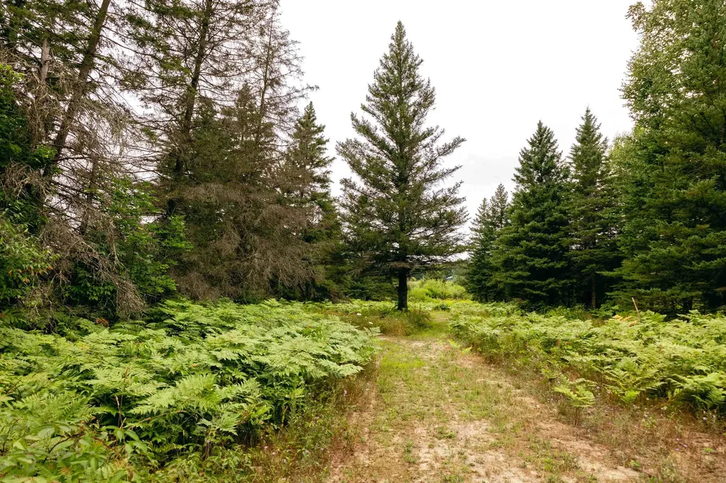 00 E Birch Point Road Elmwood Charter Township MI 49684