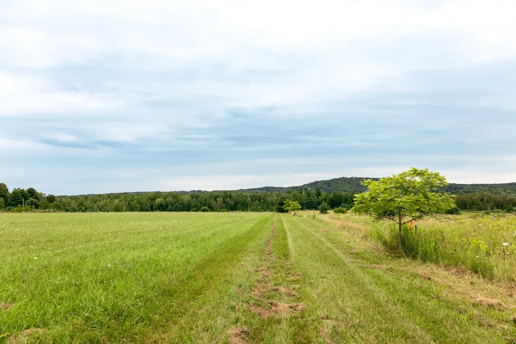 00 E Birch Point Road Elmwood Charter Township MI 49684
