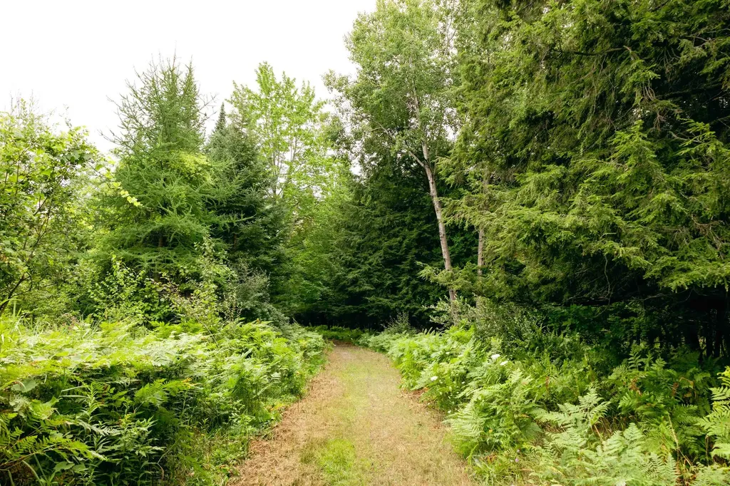 00 E Birch Point Road Elmwood Charter Township MI 49684