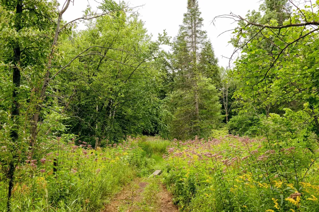 00 E Birch Point Road Elmwood Charter Township MI 49684