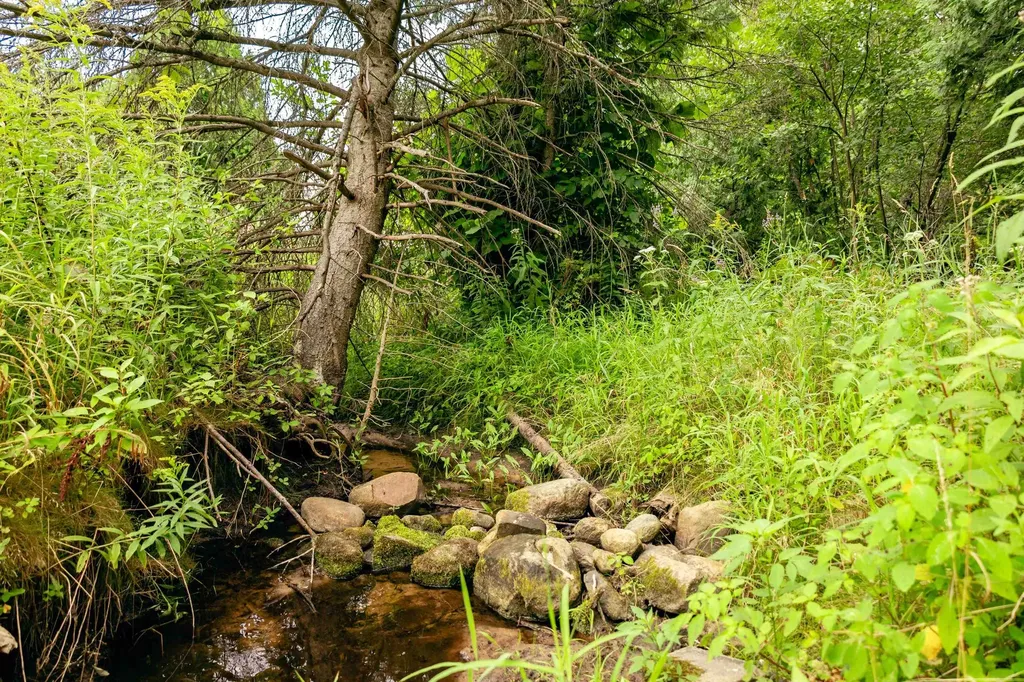 00 E Birch Point Road Elmwood Charter Township MI 49684