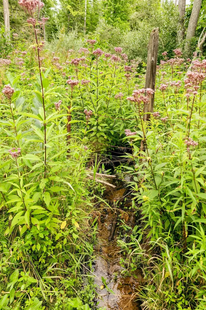 00 E Birch Point Road Elmwood Charter Township MI 49684