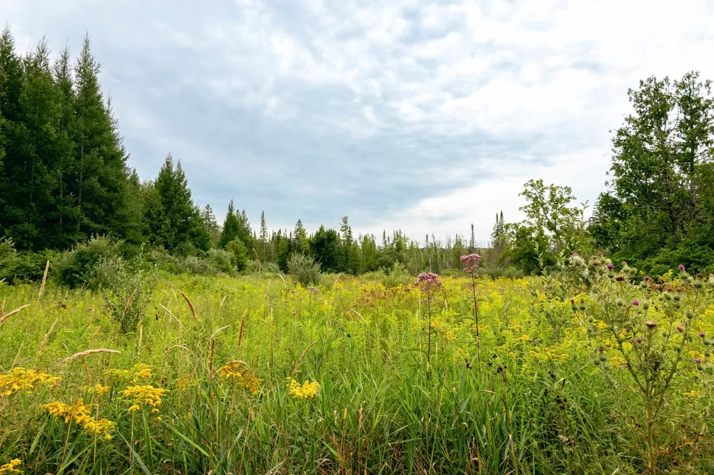 00 E Birch Point Road Elmwood Charter Township MI 49684