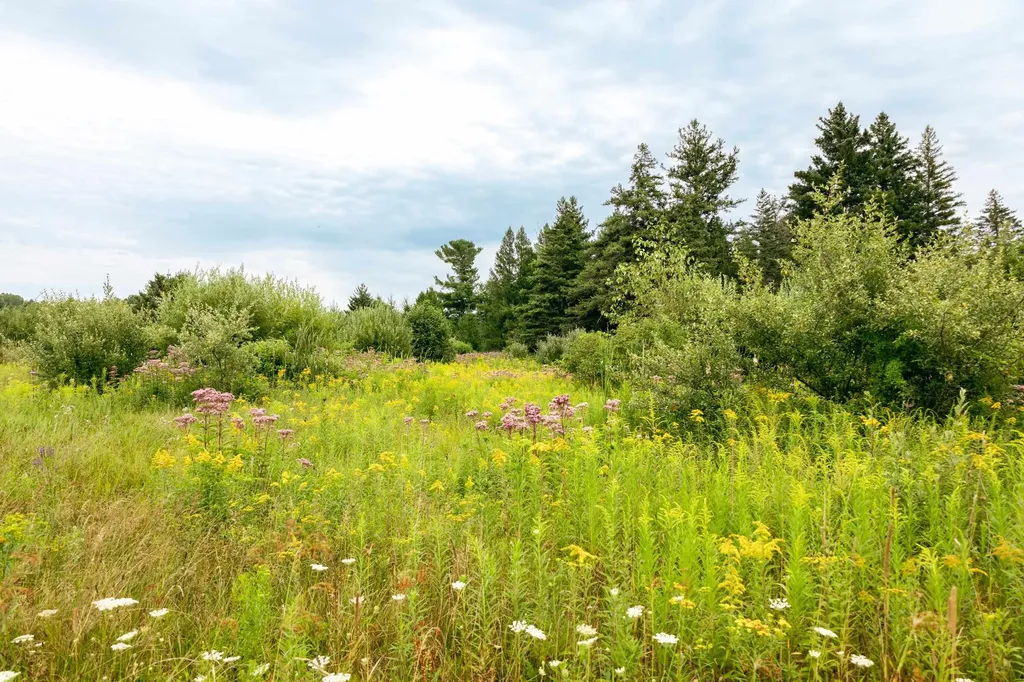 00 E Birch Point Road Elmwood Charter Township MI 49684