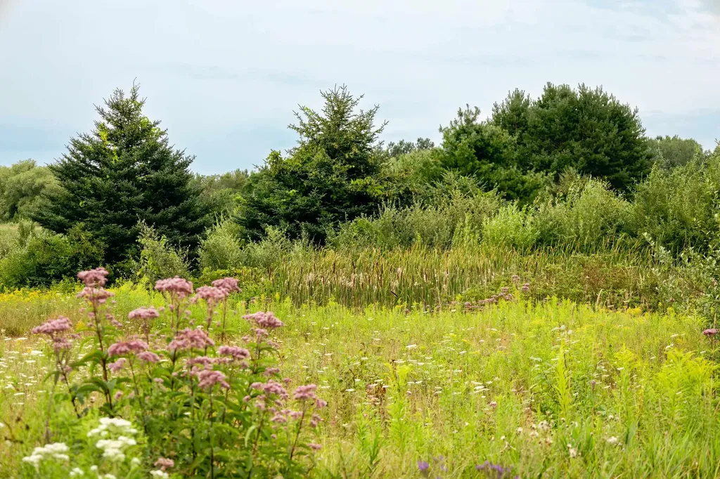 00 E Birch Point Road Elmwood Charter Township MI 49684