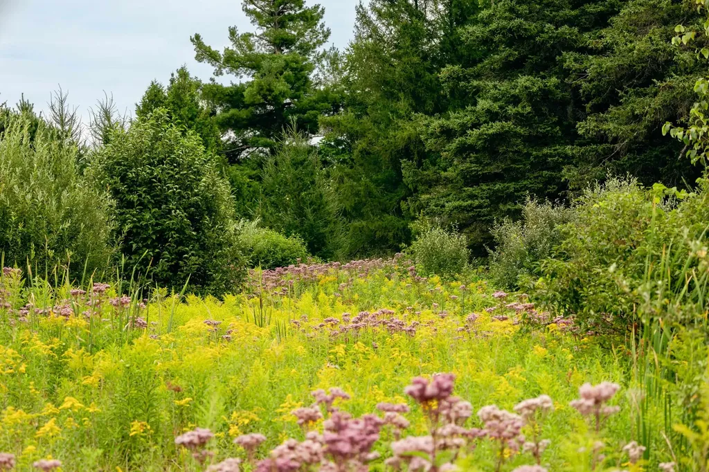 00 E Birch Point Road Elmwood Charter Township MI 49684
