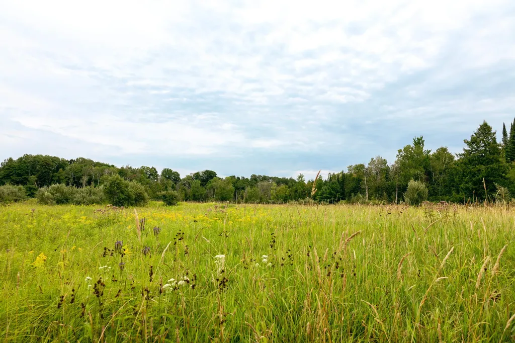 00 E Birch Point Road Elmwood Charter Township MI 49684