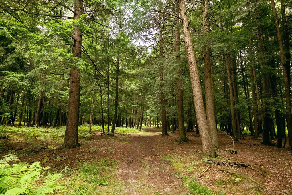 00 E Birch Point Road Elmwood Charter Township MI 49684