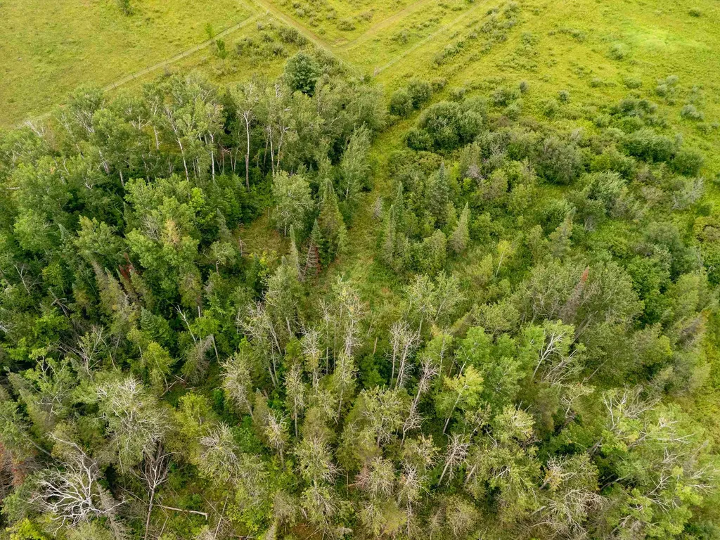 00 E Birch Point Road Elmwood Charter Township MI 49684