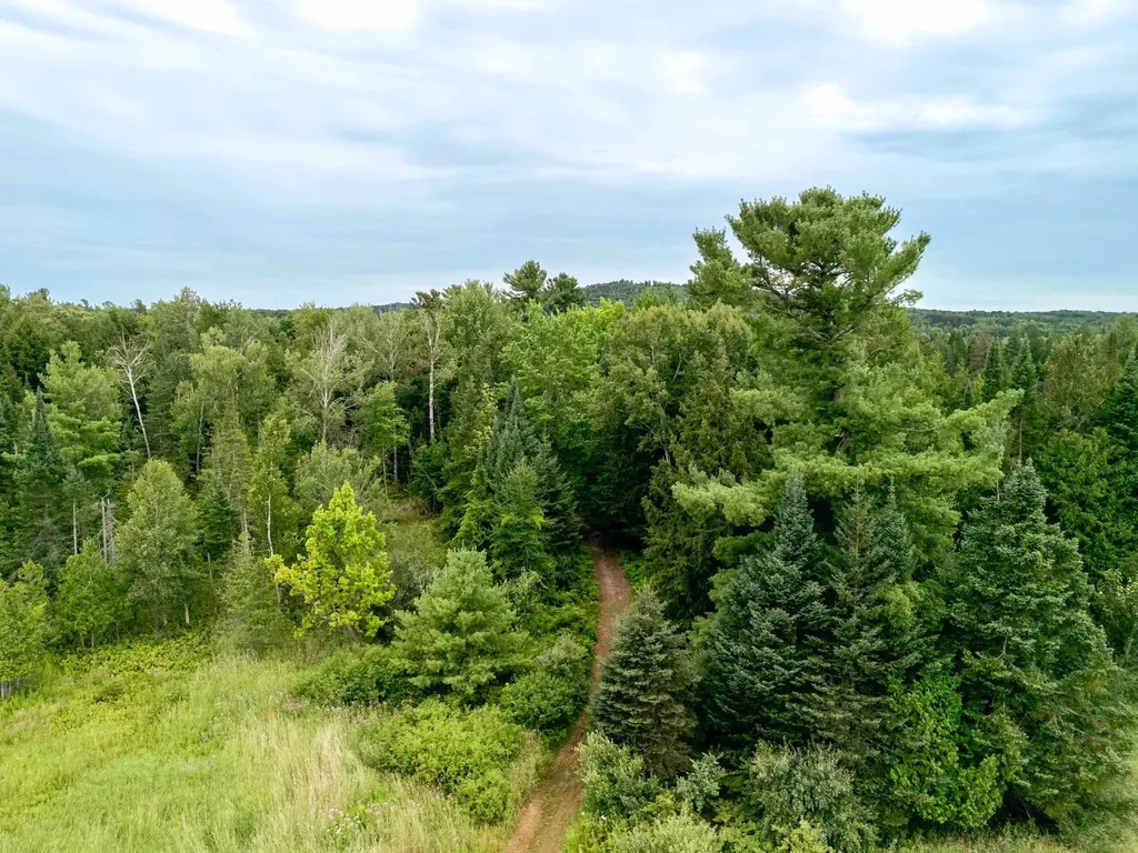 00 E Birch Point Road Elmwood Charter Township MI 49684