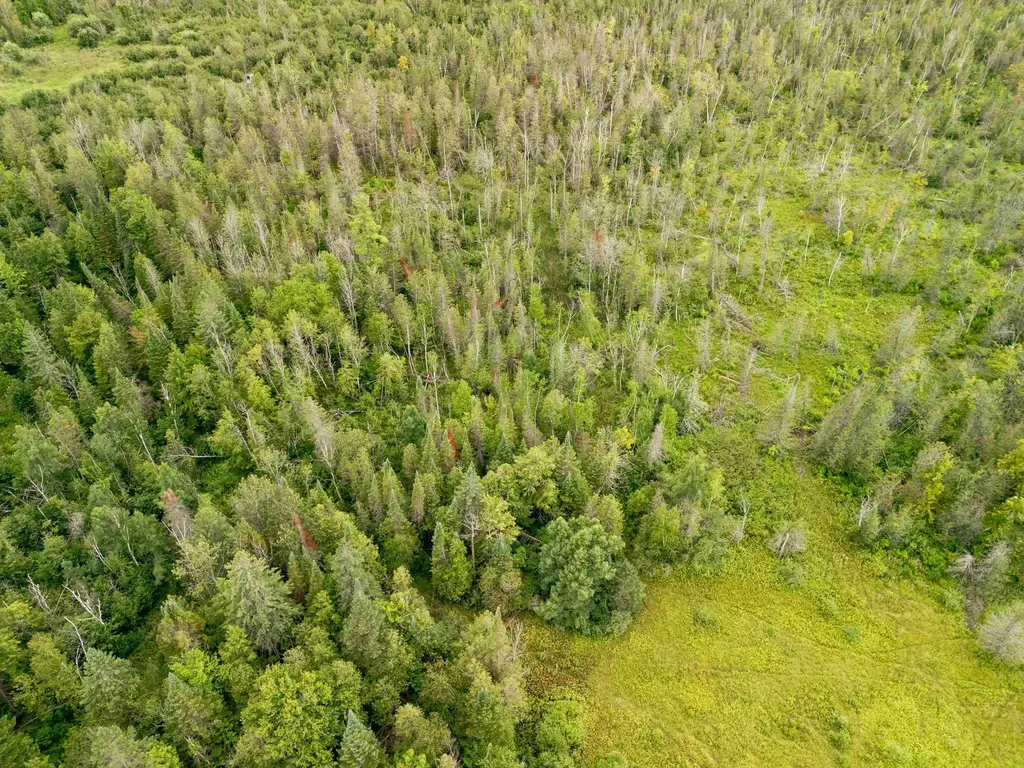 00 E Birch Point Road Elmwood Charter Township MI 49684