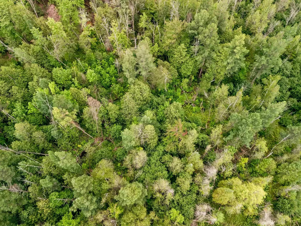 00 E Birch Point Road Elmwood Charter Township MI 49684