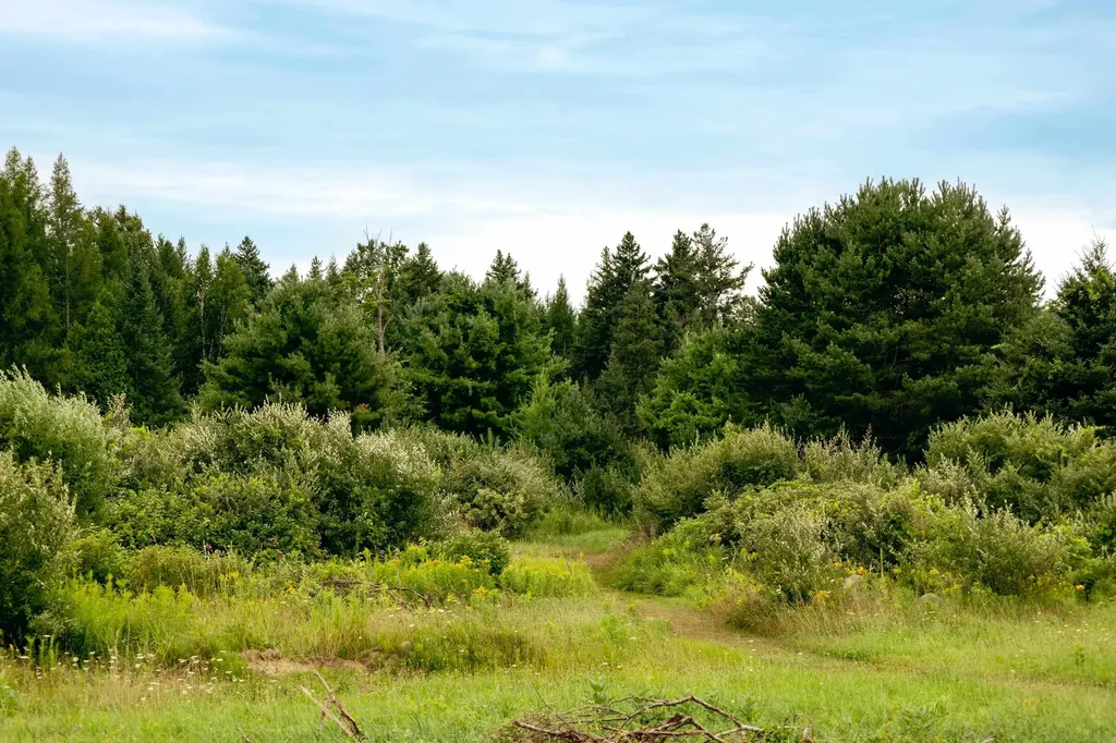 00 E Birch Point Road Elmwood Charter Township MI 49684