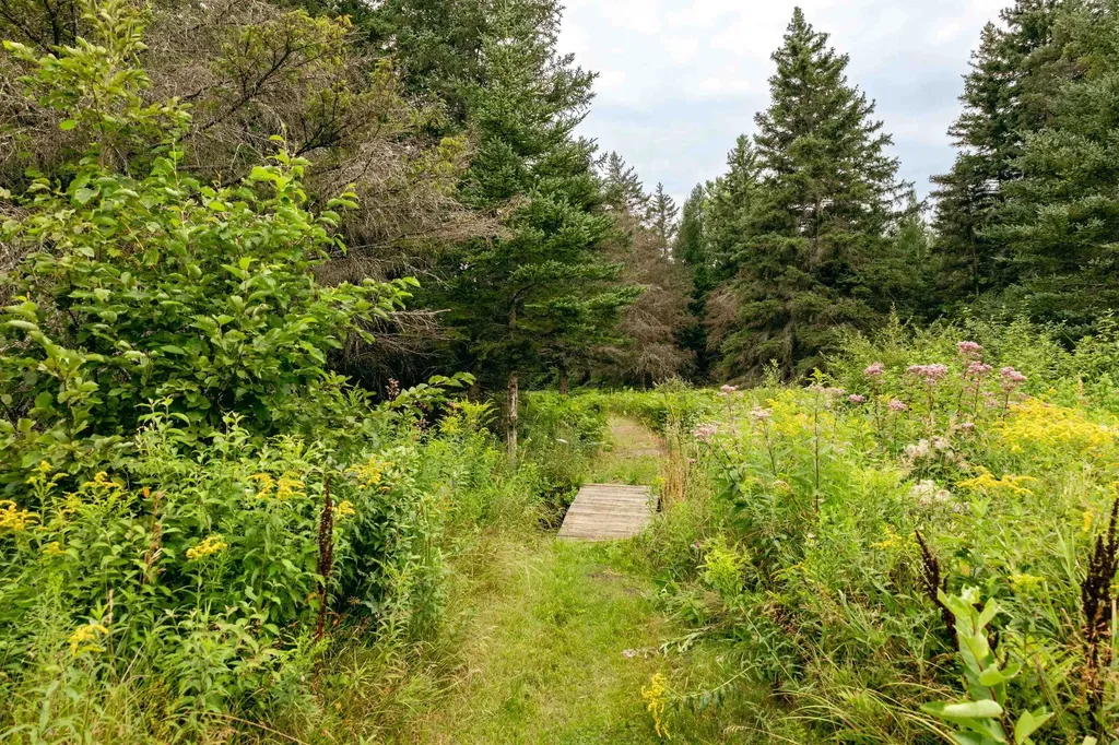 00 E Birch Point Road Elmwood Charter Township MI 49684