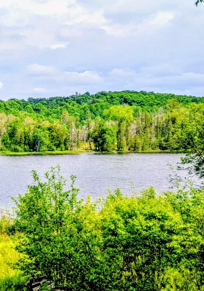3650 Childs Lane Central Lake Township MI 49622