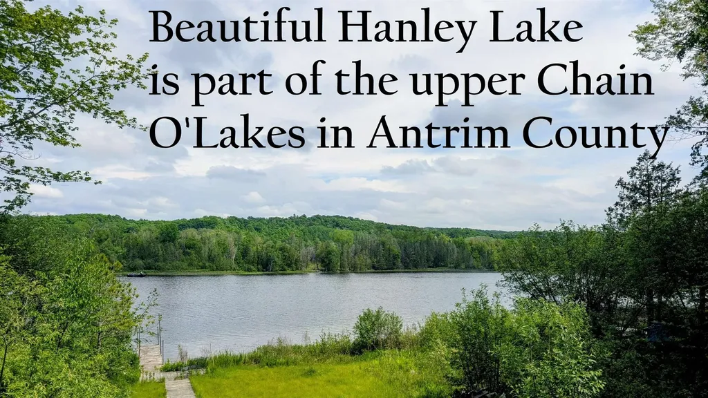 3650 Childs Lane Central Lake Township MI 49622