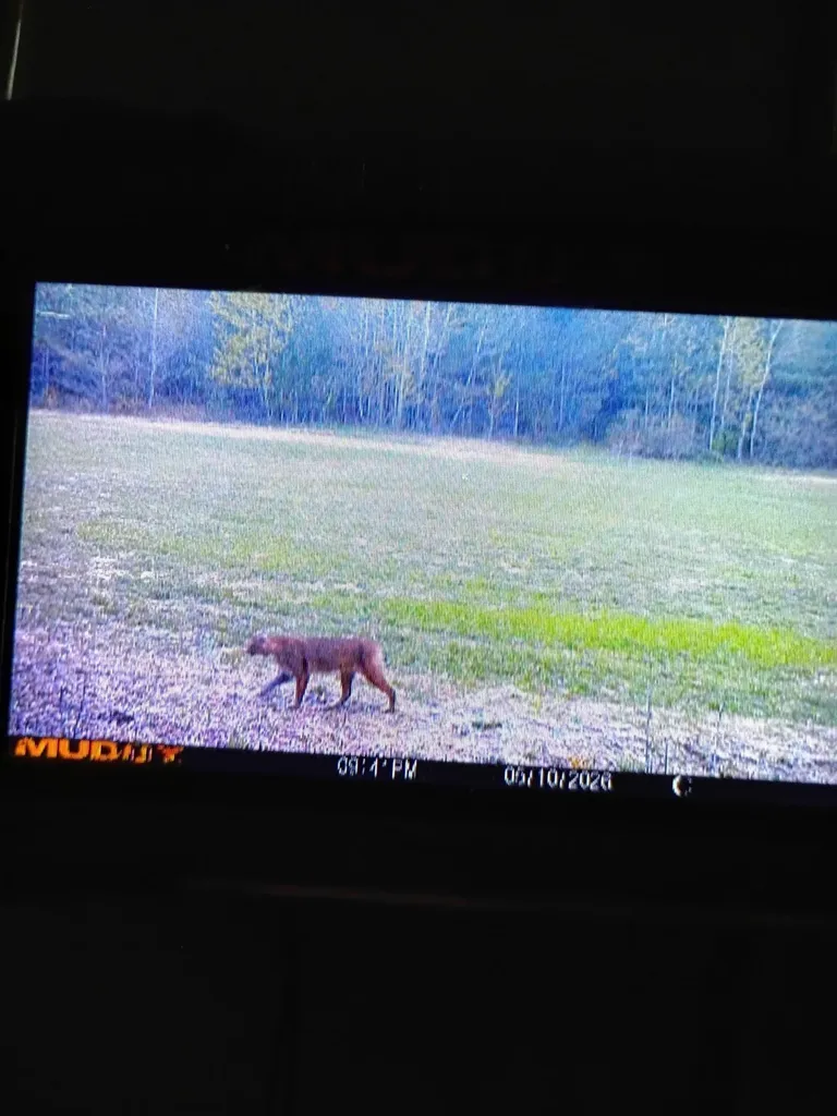 V/l Parcel F E 18 1/2 Road Cedar Creek Township MI 49663