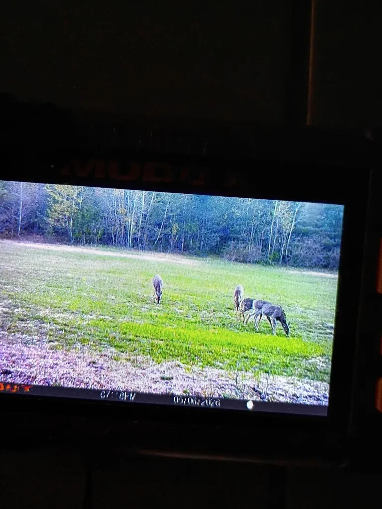 V/l Parcel F E 18 1/2 Road Cedar Creek Township MI 49663