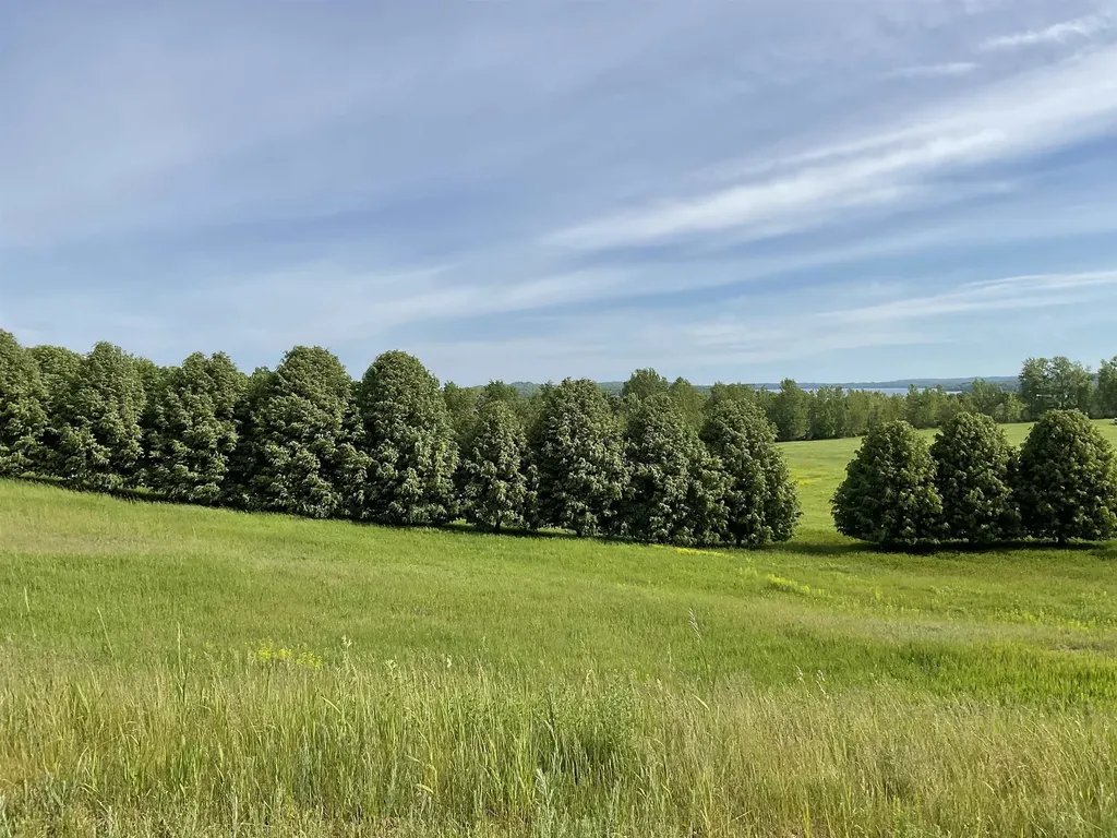 4867 E Water View Drive Leland Township MI 49653