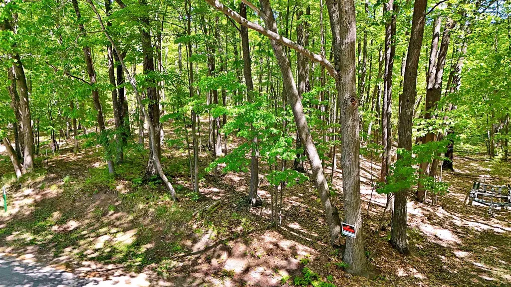 9440 W Oak Drive Caldwell Township MI 49651