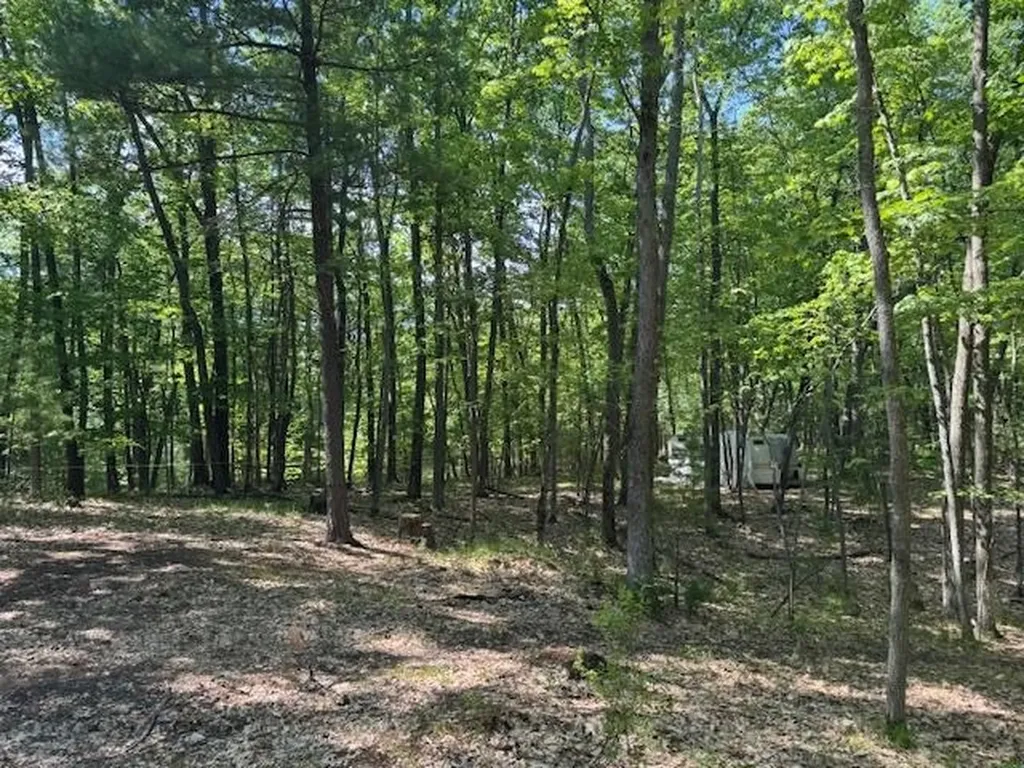 9440 W Oak Drive Caldwell Township MI 49651