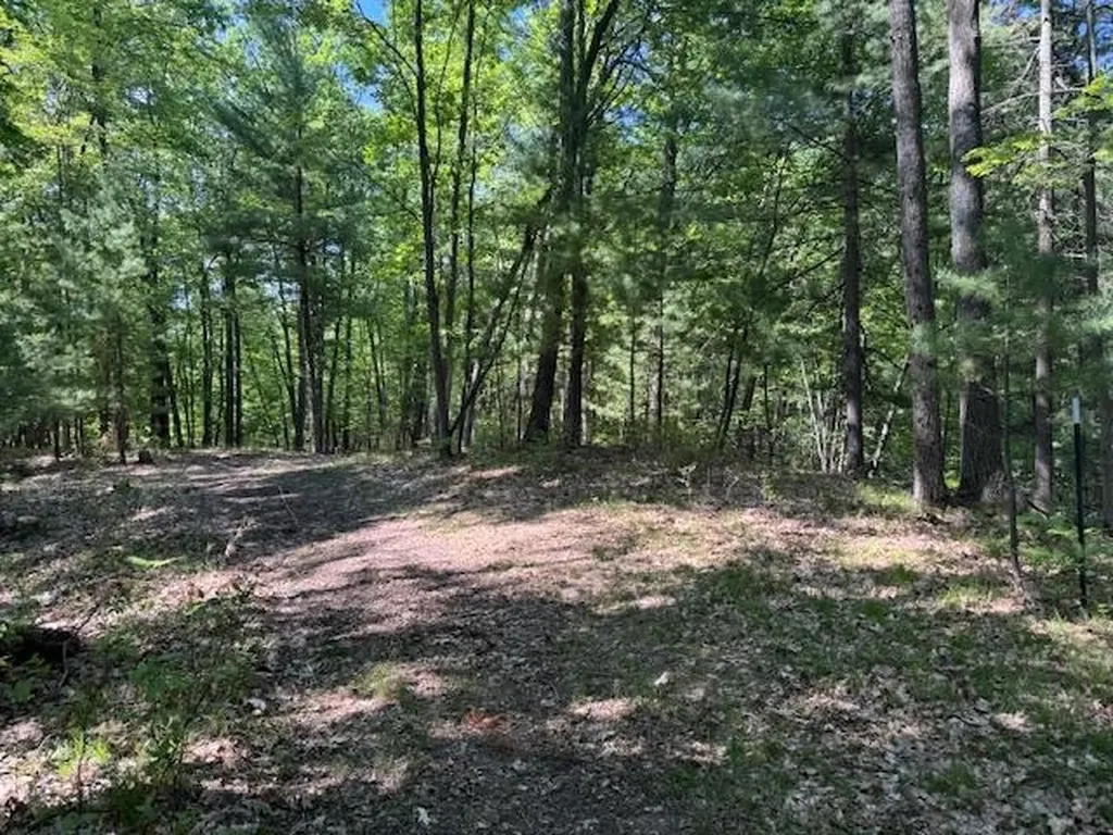9440 W Oak Drive Caldwell Township MI 49651