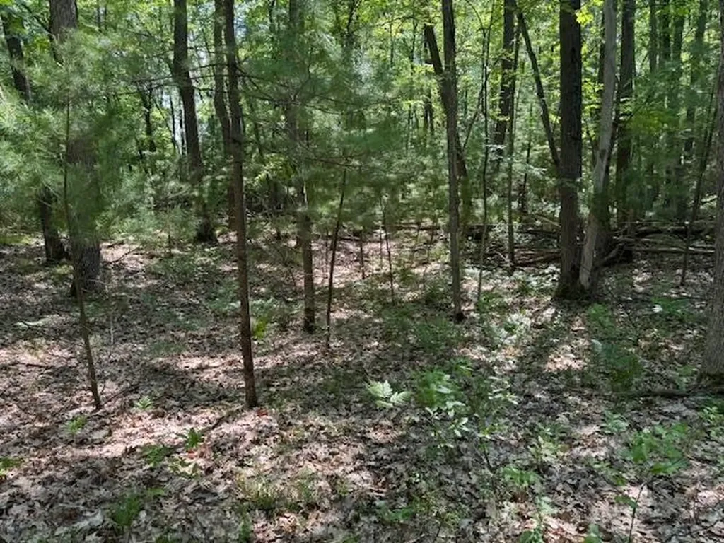 9440 W Oak Drive Caldwell Township MI 49651