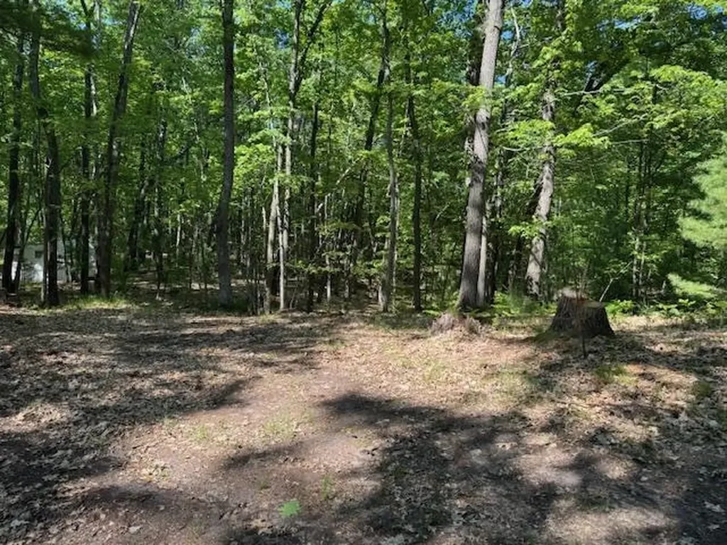9440 W Oak Drive Caldwell Township MI 49651
