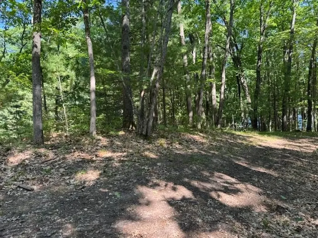 9440 W Oak Drive Caldwell Township MI 49651