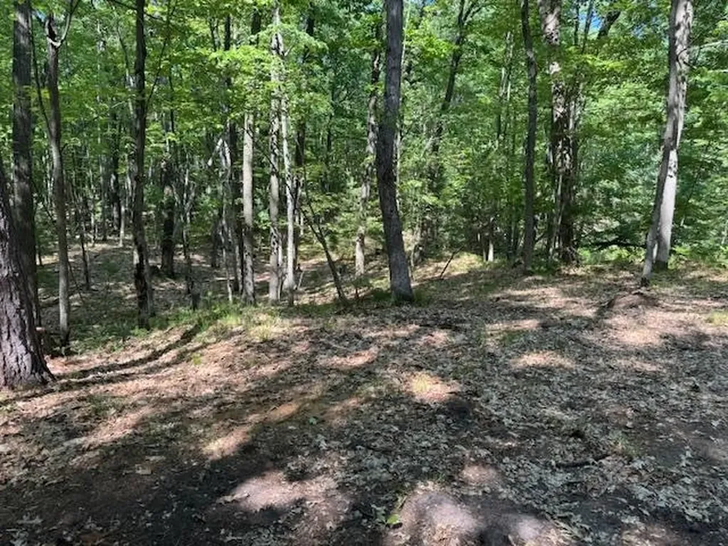 9440 W Oak Drive Caldwell Township MI 49651